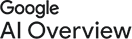 Google AI Overviews